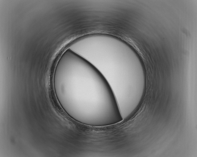 X0000115560531200911061149