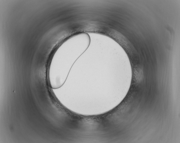 X0000115560534200911061149