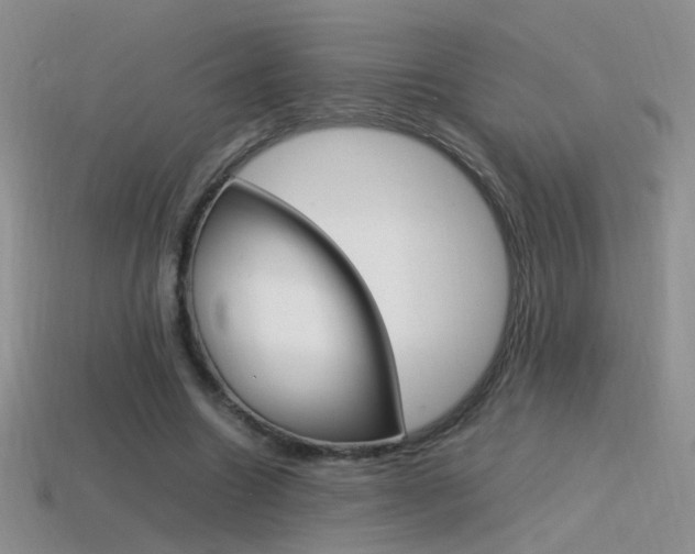 X0000115560538200911061150