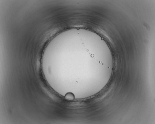 X0000115560541200911061150