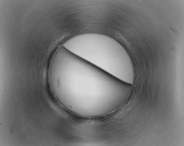 X0000115560542200911061150