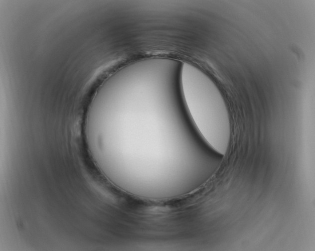 X0000115560543200911061150