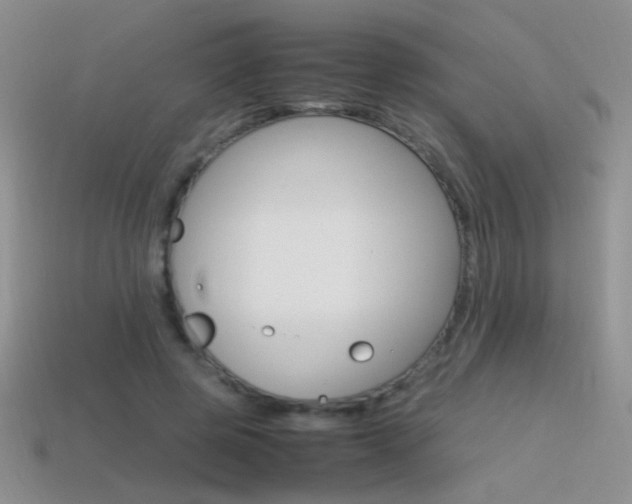 X0000115560545200911061150