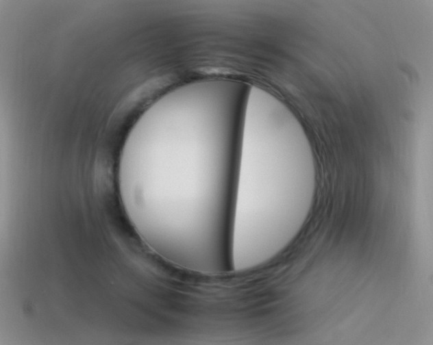 X0000115560547200911061150