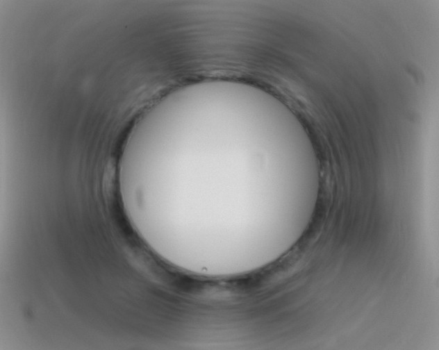 X0000115560550200911061150
