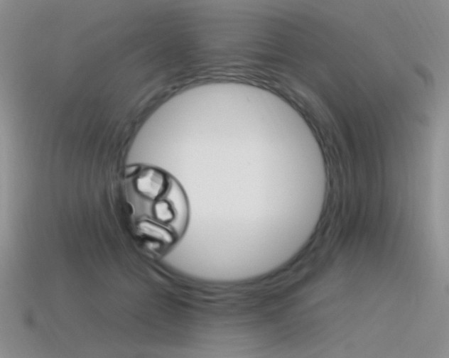 X0000115560558200911061150