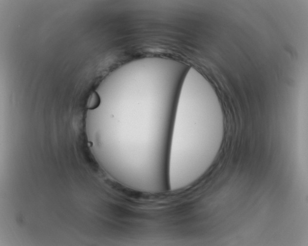 X0000115560559200911061150