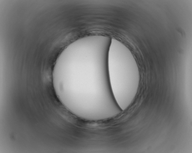 X0000115560561200911061150