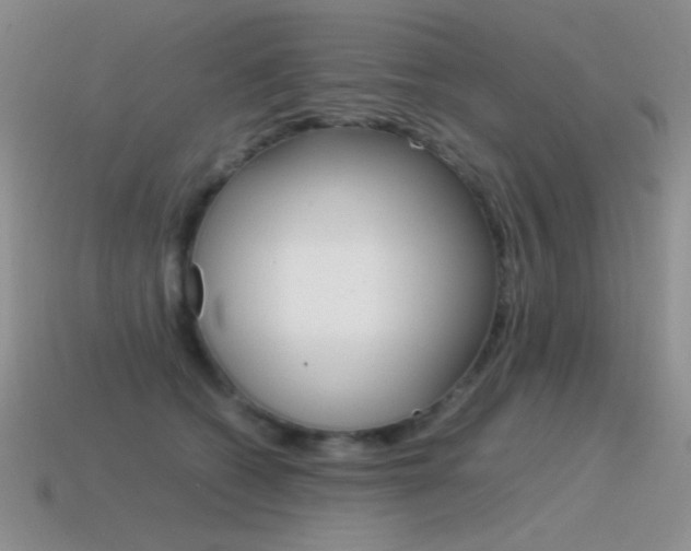 X0000115560562200911061150