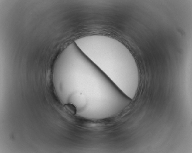 X0000115560563200911061150