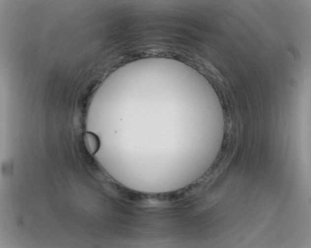 X0000115560565200911061150