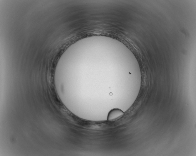 X0000115560569200911061150