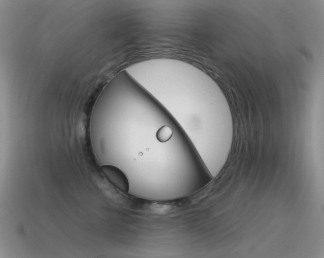 X0000115560570200911061150