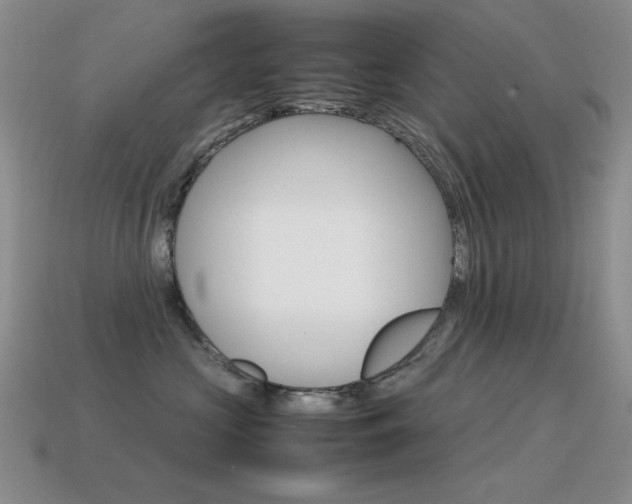X0000115560573200911061150