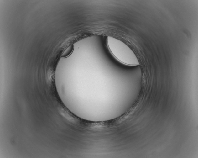 X0000115560574200911061150