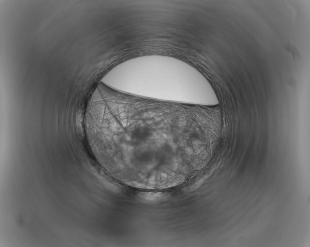 X0000115560575200911061150