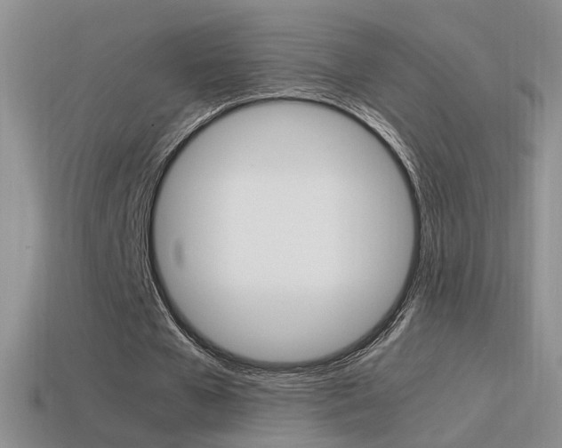 X0000115560577200911061149