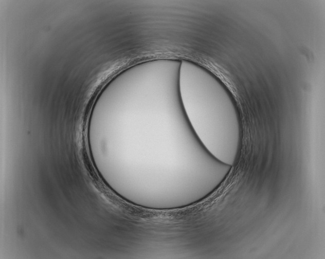 X0000115560578200911061149