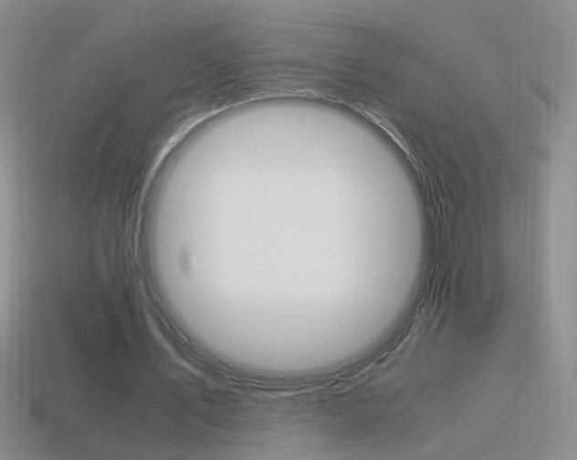 X0000115560579200911061149