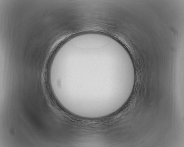 X0000115560583200911061149