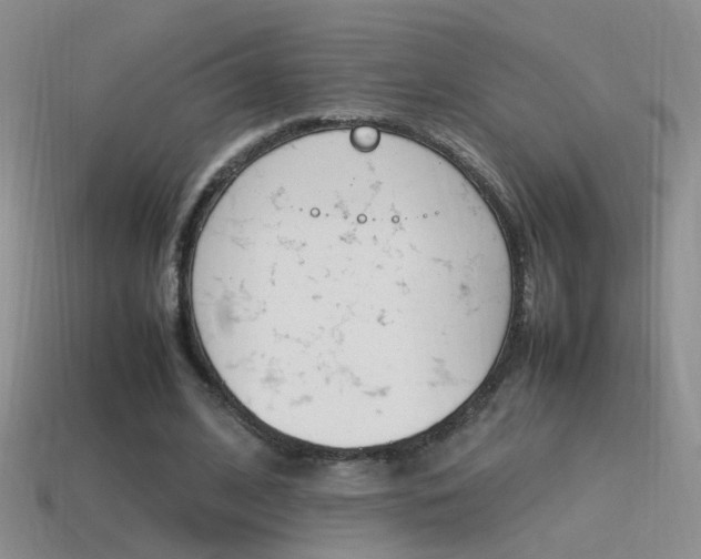 X0000115560584200911061149