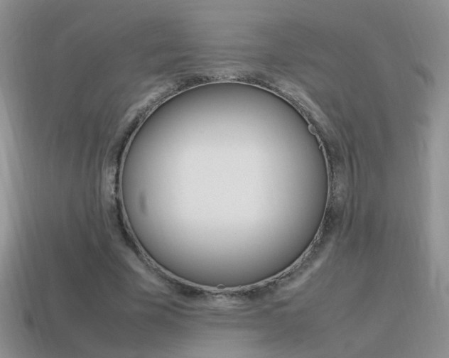 X0000115560585200911061149