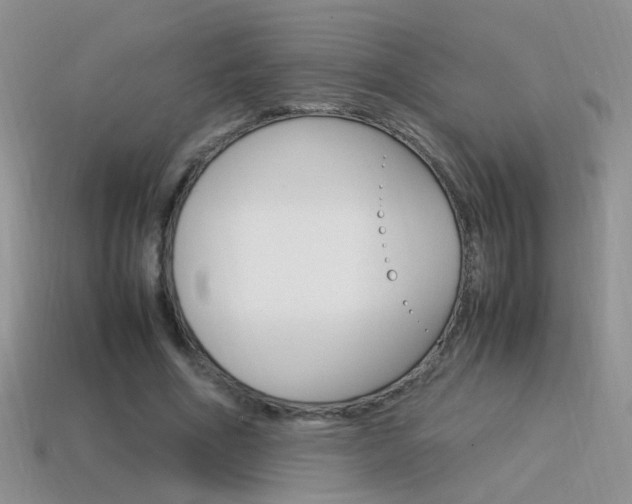 X0000115560586200911061149