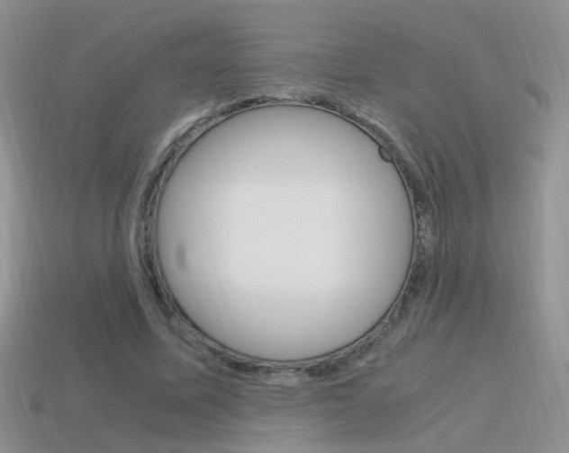 X0000115560587200911061149