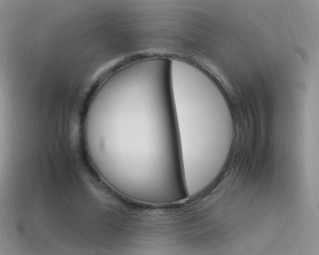 X0000115560588200911061149