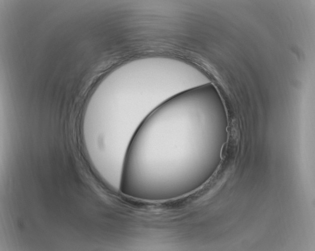 X0000115560589200911061149