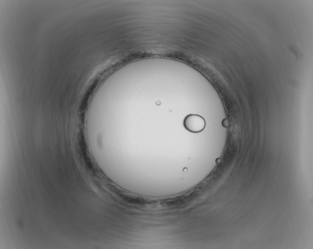 X0000115560591200911061149