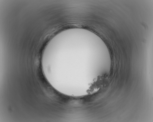 X0000115560595200911061149