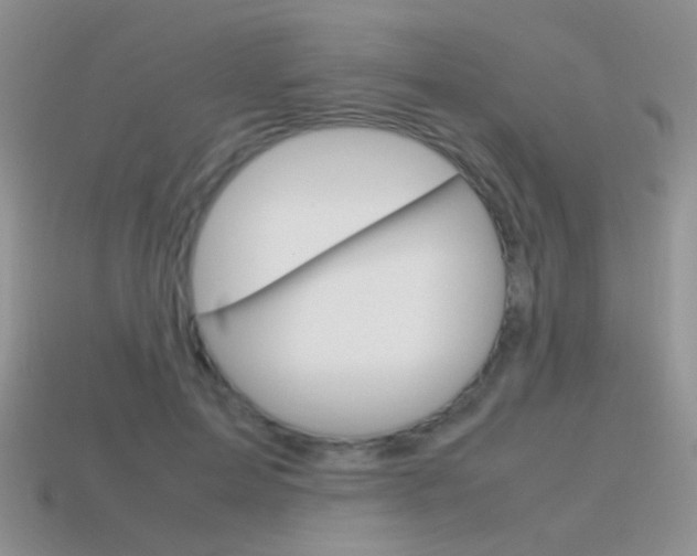 X0000115560599200911061149