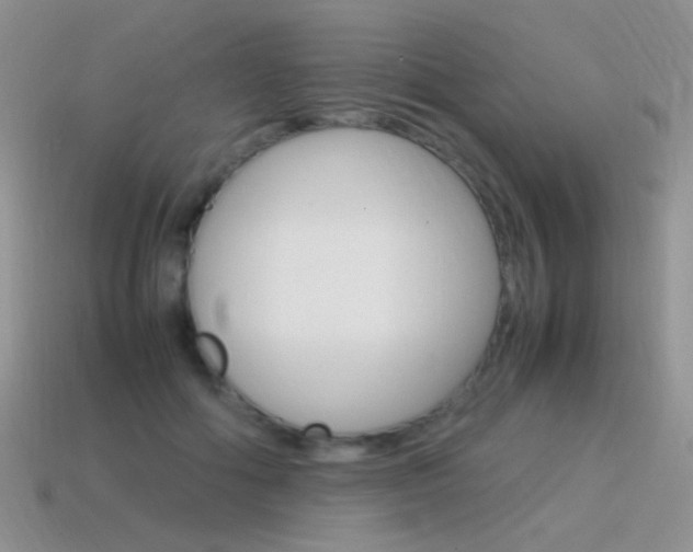 X0000115560602200911061149