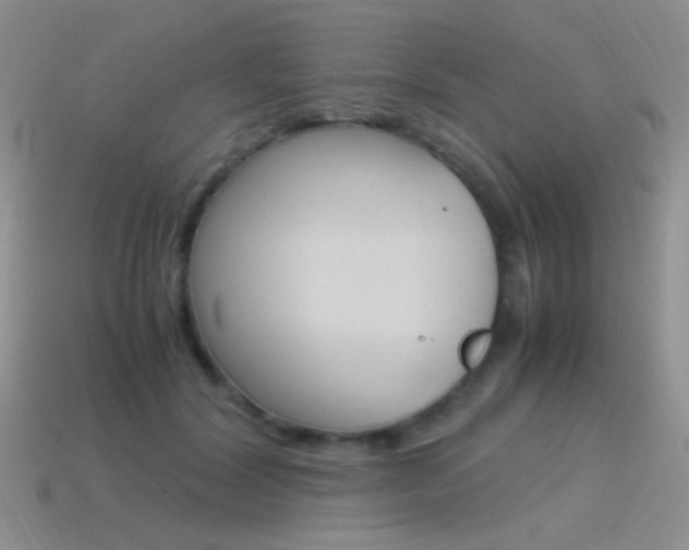 X0000115560604200911061149