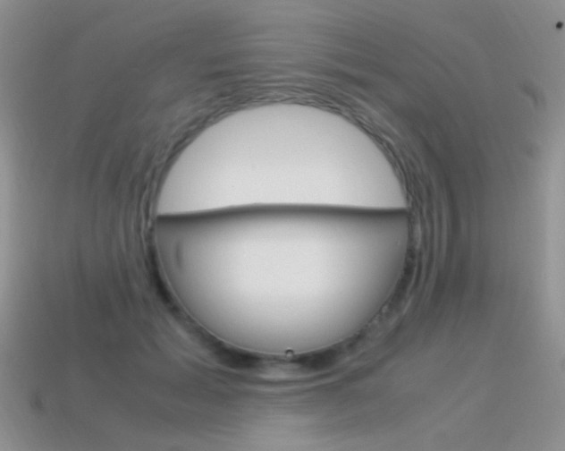 X0000115560605200911061149