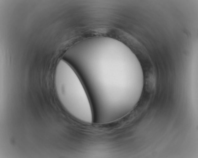 X0000115560608200911061149