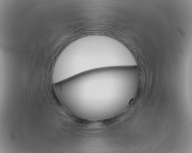 X0000115560609200911061149