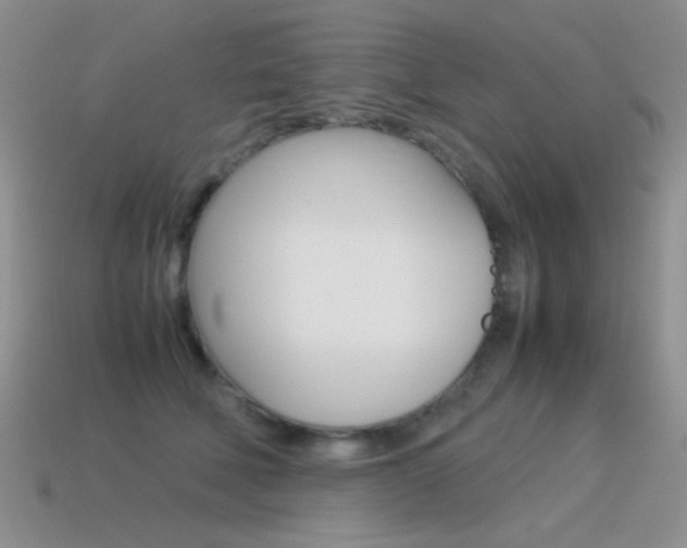 X0000115560610200911061149