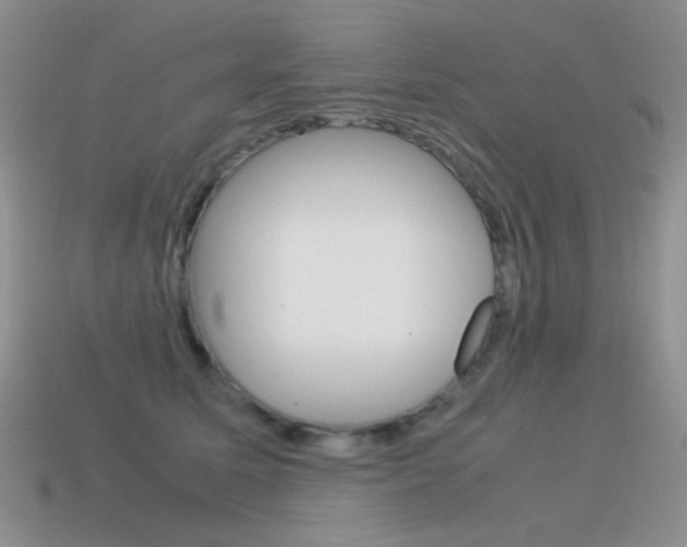 X0000115560611200911061149