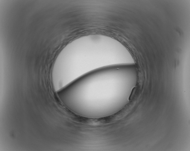 X0000115560613200911061149