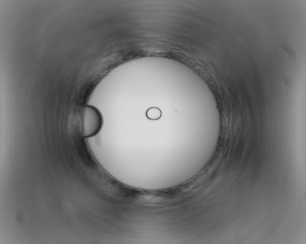 X0000115560614200911061149