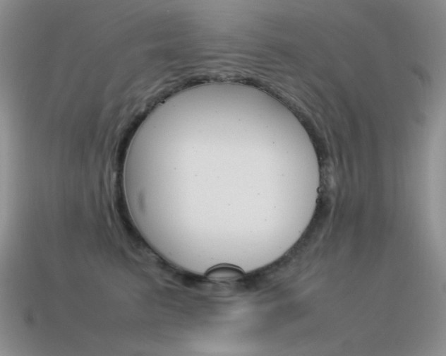 X0000115560615200911061149