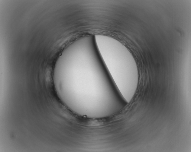 X0000115560616200911061149