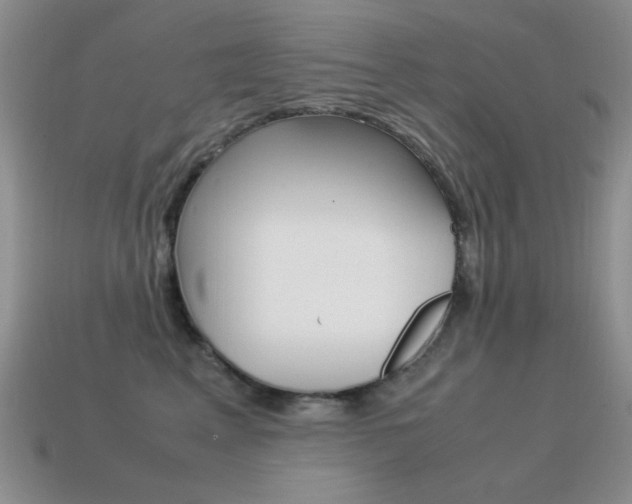 X0000115560617200911061149