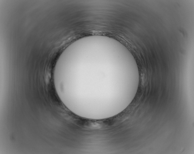 X0000115560618200911061149