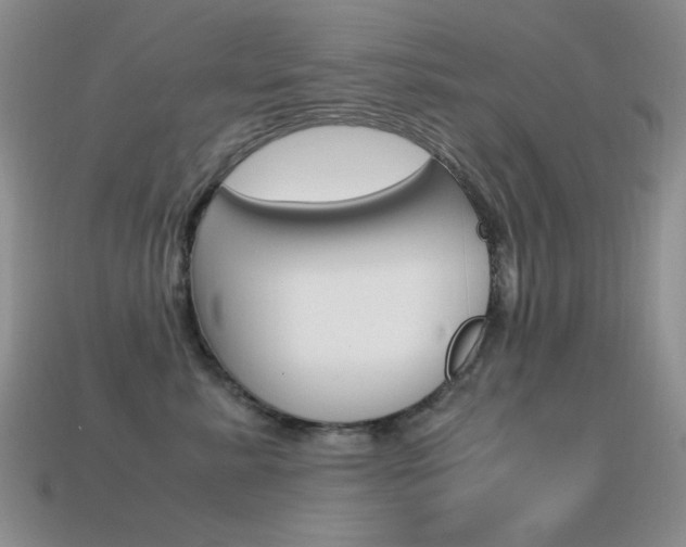 X0000115560619200911061149