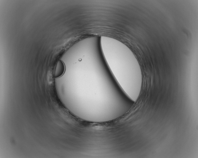 X0000115560620200911061149