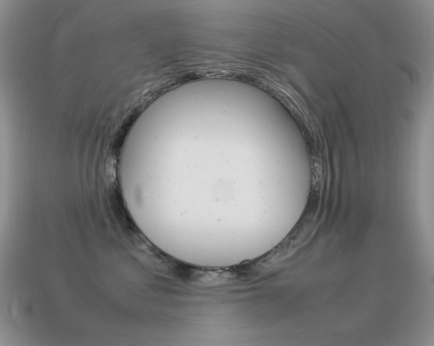 X0000115560621200911061149