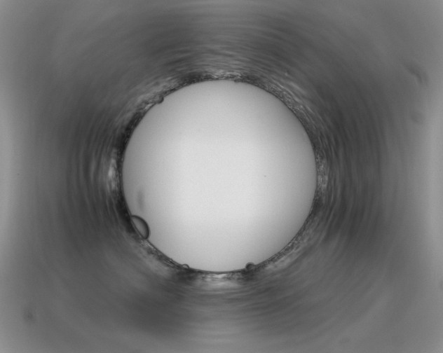 X0000115560622200911061149